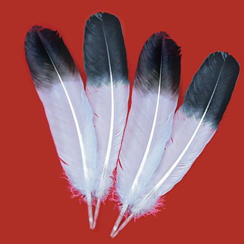 Jumbo Imitation Eagle Wings