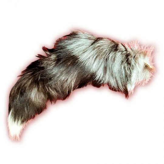 Silver Fox Tails