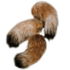 Lynx Tails