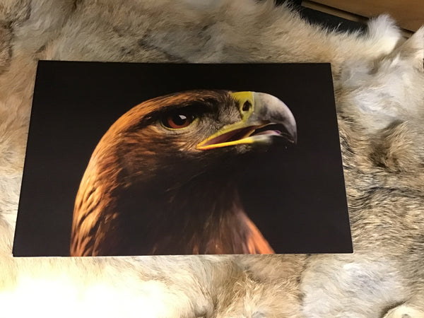 CPN Postcards (10 Count )