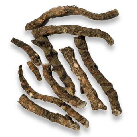 Northern Bitter Root 1.0 oz