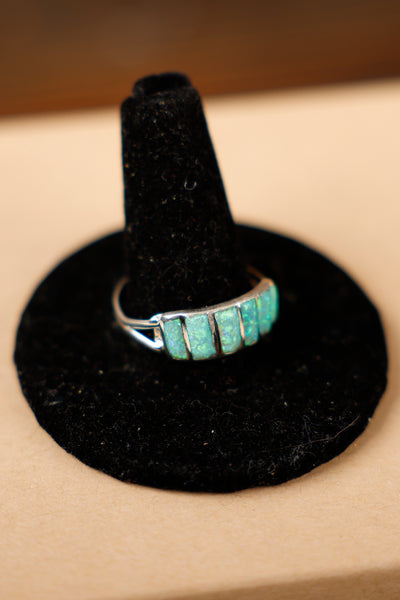 Band Ring with Stones