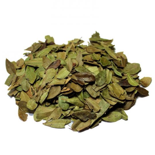 Bearbery Leaves 4oz Bag