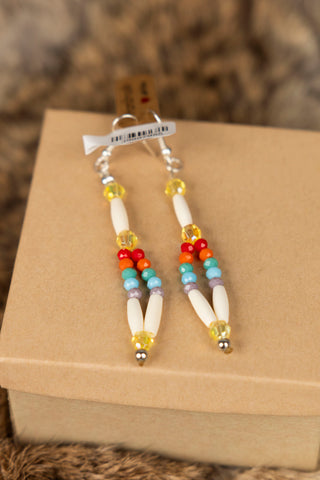 Colorful Beaded Hair Pipe Earrings