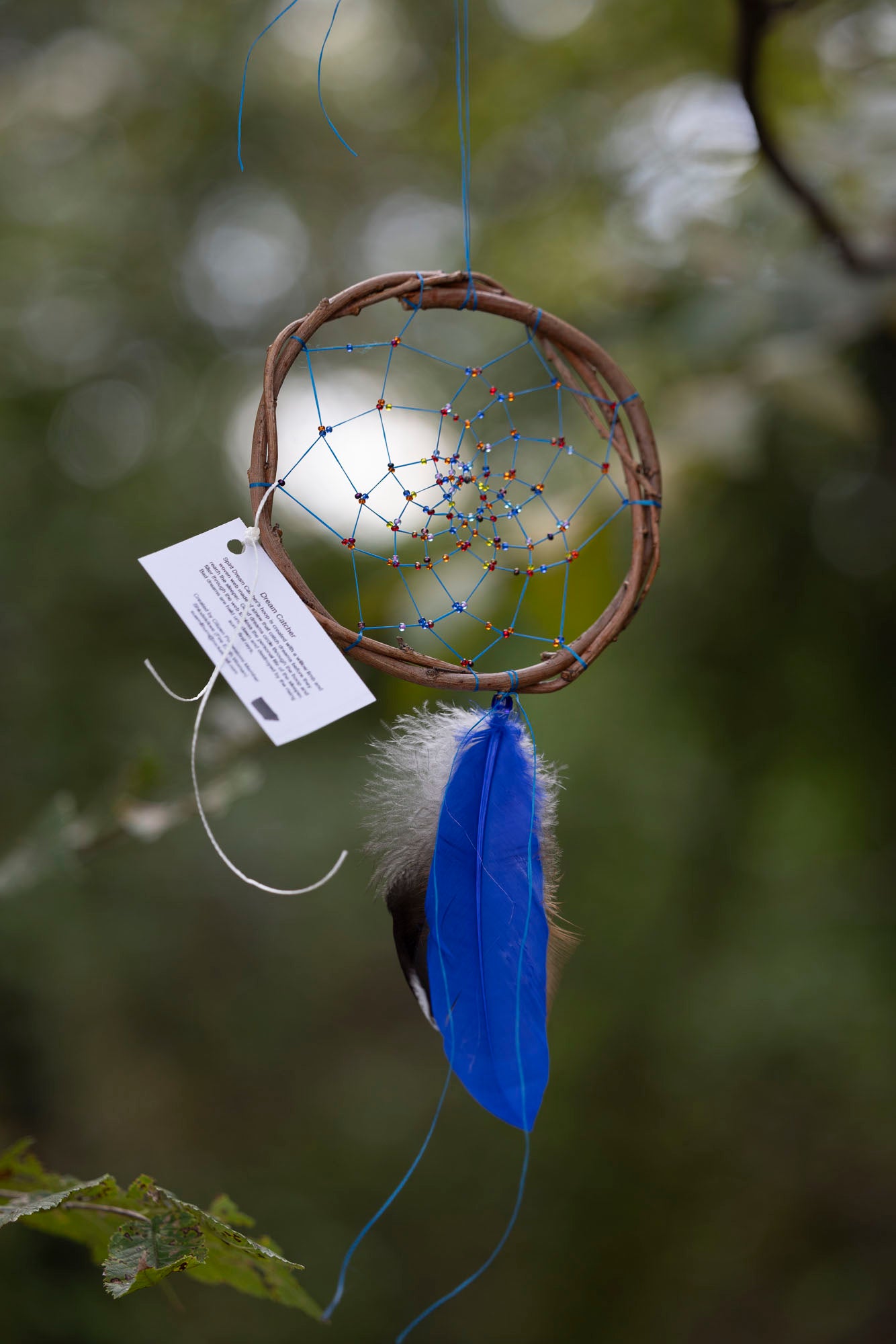 Colorful Willow Dreamcatchers