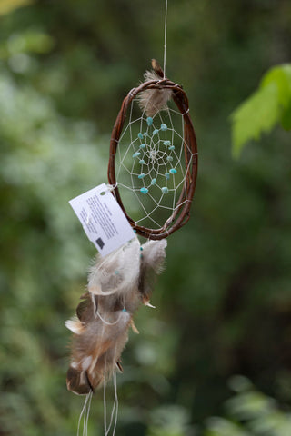 Willow Dreamcatchers - Small / Medium