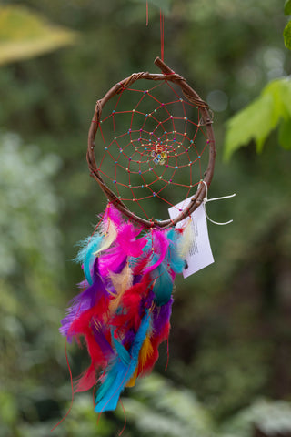 Colorful Willow Dreamcatchers