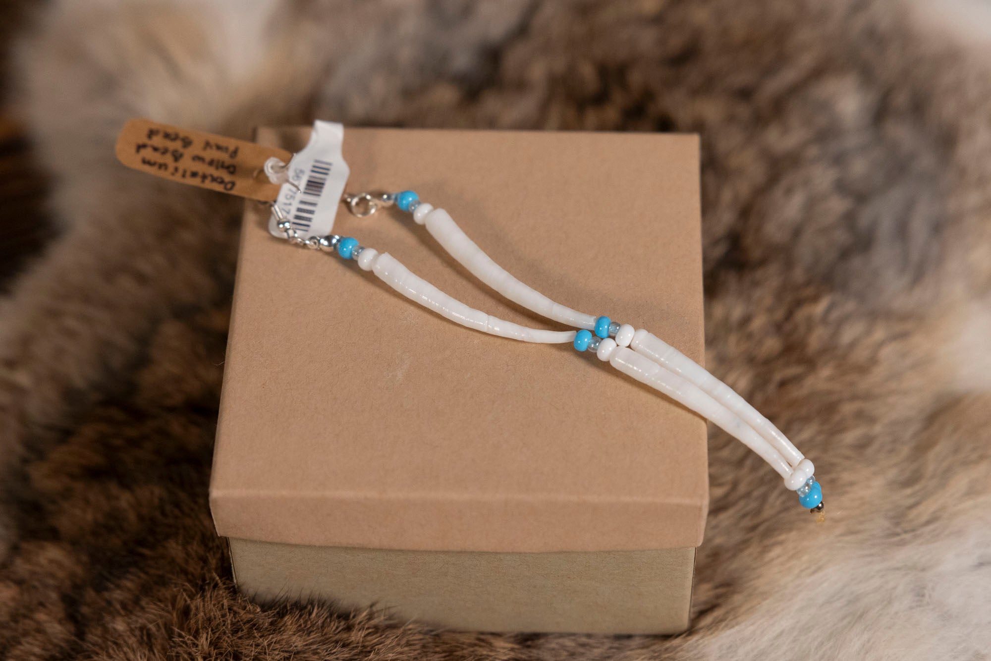 Dentalium and Small Beaded Earrings