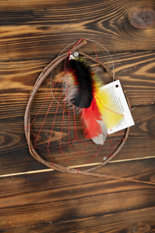 Medium Size Willow Dreamcatcher - Medicine Wheel Colors