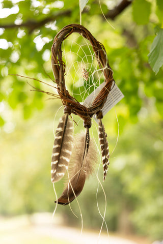 Willow Dreamcatchers - Small (Arrowhead)