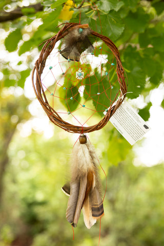 Willow Dreamcatcher - Medium (Turquoise with Water Bird)