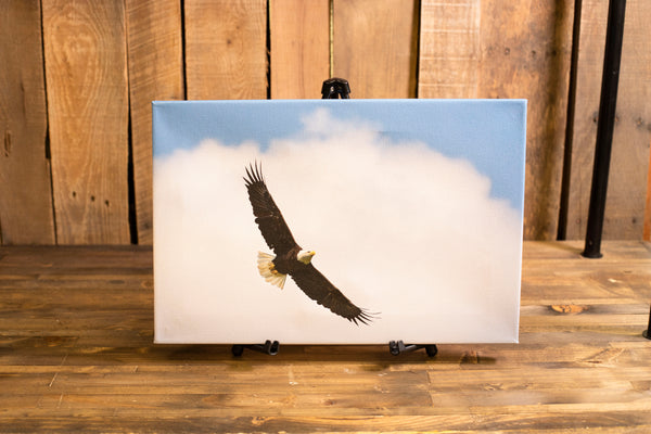 CPN Aviary Eagle Canvas Pictures