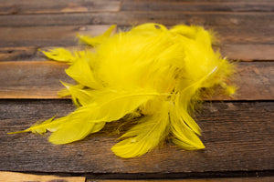 Assorted colored plume feathers