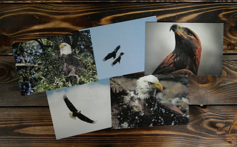 Bundle of Eagle Postcards