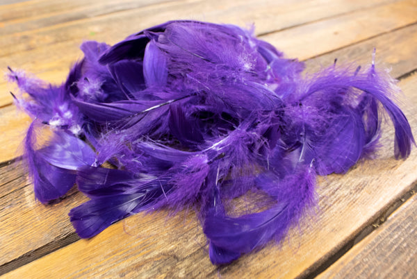 Assorted colored plume feathers