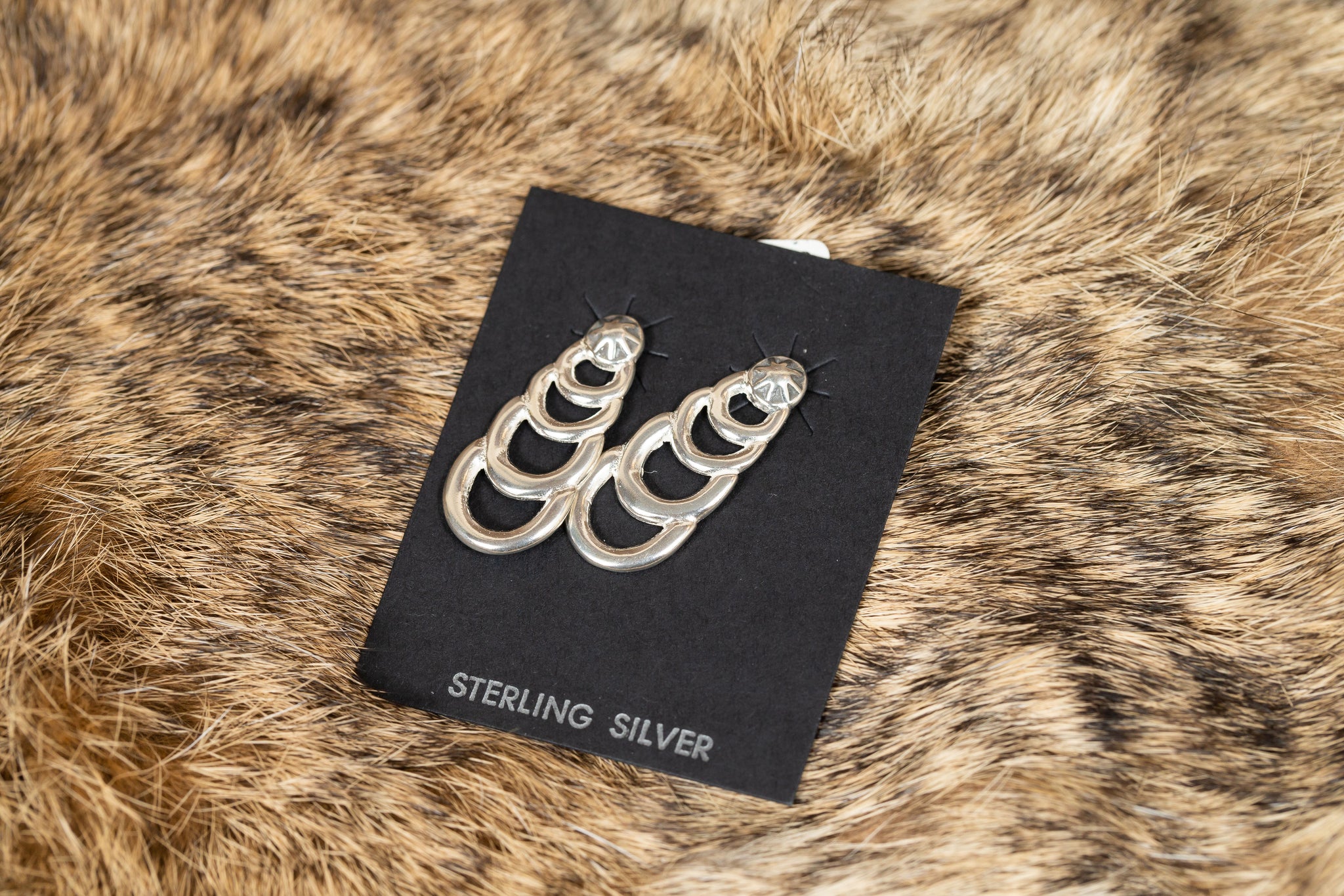Sterling Silver Design Earrings